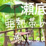 【沖縄カフェ】瀬底島にも隠れ家カフェ。森のテラスは現実逃避の異世界