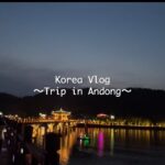 韓国旅行 vlog @安東 (韓屋カフェ/地域グルメ/地ビール/夜景)