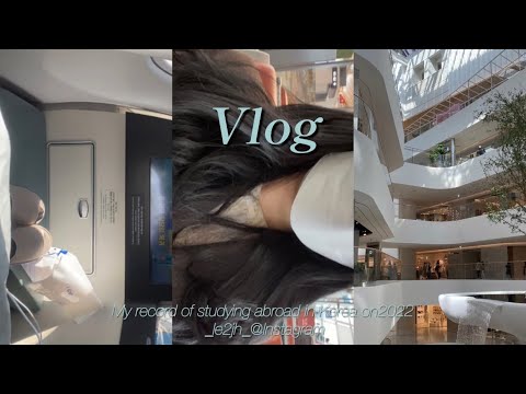 韓国留学vlog｜韓国入国🇰🇷 カフェ巡り☕️연남동카페 🍕 the hyundai seoul🌿