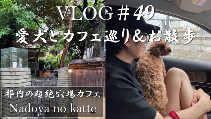 ［vlog］#49 愛犬とカフェ巡り&お散歩したらレオンに出会いが。【穴場カフェ/駒沢公園/ペット可】