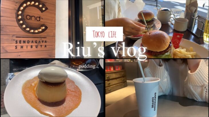 【vlog】OLの休日2日間/千駄ヶ谷カフェ/絶品ハンバーガー🍔/IKEA/愛犬とお散歩🐶