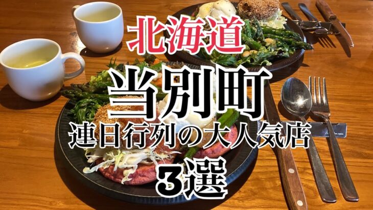 【北海道】地元民おすすめ『当別町行列人気グルメ３選』わがまま農園カフェ・きみかげ・かばと製麺所　HOKKAIDO ENGLISH SUB