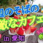 海辺🏖️のそばの素敵なカフェ💖  😍インスタ映えするパフェがすごい✨🍓🍓  in 愛知 知多美浜町