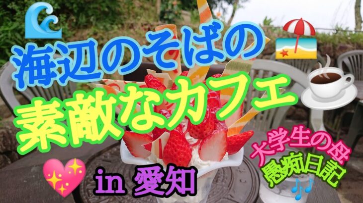 海辺🏖️のそばの素敵なカフェ💖  😍インスタ映えするパフェがすごい✨🍓🍓  in 愛知 知多美浜町