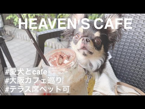 【愛犬とお出かけ】大阪の十三駅すぐ！カフェでまったり♡