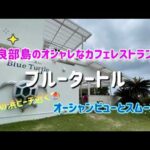 【宮古島/グルメ】伊良部島のオシャレなカフェレストラン！！ブルータートル