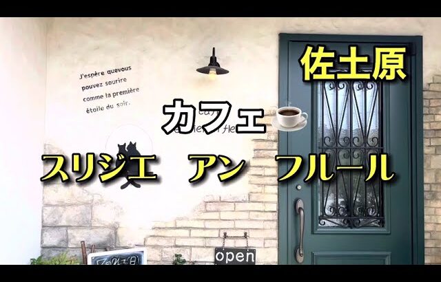 宮崎グルメ230  佐土原　カフェ☕️ スリジエ　アン　フルール✨