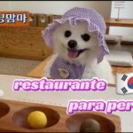 [ES/JP]🇰🇷vlog/레스토랑  맘마 /mamma/コース料理/ペット可レストラン/restaurante de perros/ソウルカフェ