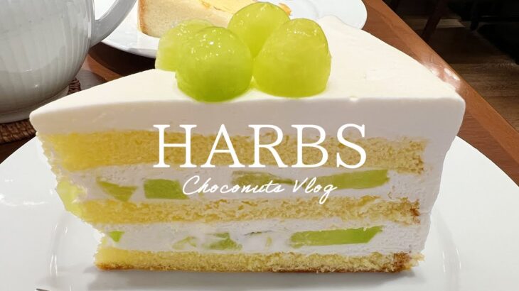 【HARBS】ハーブスの期間限定ケーキとランチが美味しすぎる | 4K Cafe Vlog #87