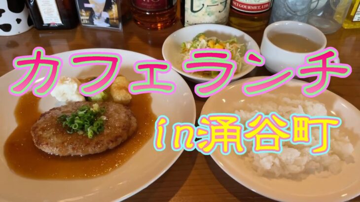 【涌谷町】カフェでハンバーグランチを食べてみた #涌谷町 #涌谷町カフェ #涌谷町ランチ #涌谷町グルメ #ハンバーグ #Leche #レーチェ