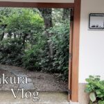 【kamakura vlog】鎌倉山本店でランチ/ 豆柴カフェ/ キャラウェイのカレー
