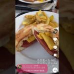 愛犬と河口湖のカフェでまったり#shorts #tiktok