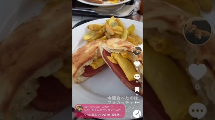 愛犬と河口湖のカフェでまったり#shorts #tiktok