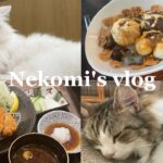 vlog｜高田馬場・新宿🐱｜猫カフェ、日本茶🍵和カフェ｜穴場スポット紹介🐷