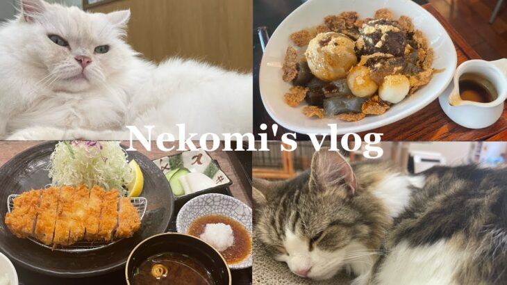 vlog｜高田馬場・新宿🐱｜猫カフェ、日本茶🍵和カフェ｜穴場スポット紹介🐷