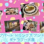 【vlogカフェ巡り大阪】アパート ドリンクス アンド ギャラリー apart drinks and gallery(天満)