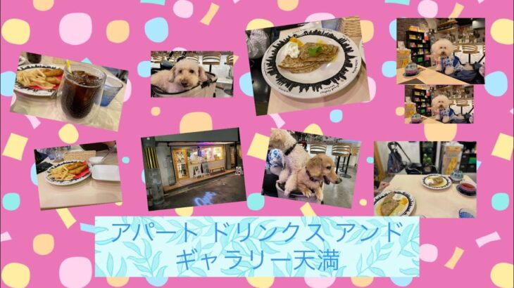 【vlogカフェ巡り大阪】アパート ドリンクス アンド ギャラリー apart drinks and gallery(天満)