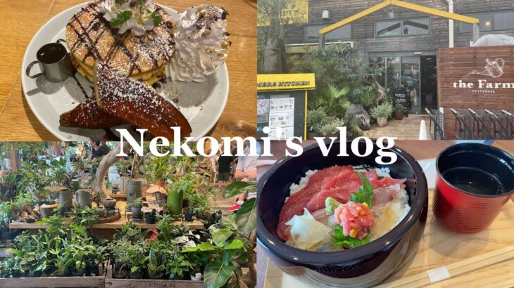 vlog｜千葉カフェ巡り🍰☕️｜The Farm🌱｜千葉駅🥜｜絶品マグロ丼のカフェ🐟｜グルテンフリーパンケーキ🥞