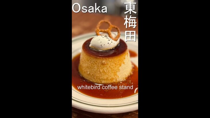 【大阪カフェ】whitebird coffee stand【東梅田】#shorts