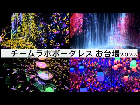 チームラボボーダレスお台場2022/東京テレポート駅カフェ