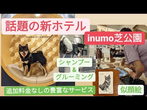 2022年オープン！話題のペット可ホテルに柴犬と泊まったら奇跡おきたヨ①