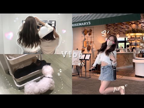 ❮ Vlog #6 ❯ 友達とランチ&念願の犬カフェデート🐶🤍|久しぶりのプリクラ|休日の過ごし方🌵