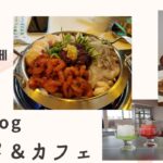 韓国Vlog/ソウルグルメ/ホンデ/맛집/カフェ/サムギョプサル/ナッコプセ/観光ビザ