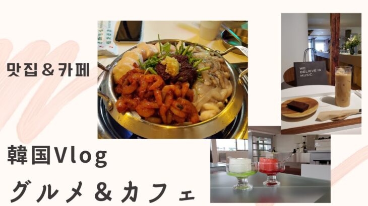 韓国Vlog/ソウルグルメ/ホンデ/맛집/カフェ/サムギョプサル/ナッコプセ/観光ビザ