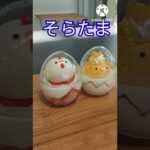 【神戸グルメ】北野のお洒落なカフェでランチとスイーツ