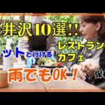 【保存版】軽井沢レストラン/カフェ10選【ペット可】【雨でも大丈夫】美味でおしゃれ｜軽井沢駅近く～車で15分まで【地図あり】旧軽井沢｜軽井沢銀座｜中軽井沢｜追分｜ペット店内OK/屋根付きテラスOK