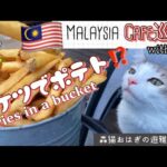 【MALAYSIA】Kingstreet Cafe in Kuala Lumpur バケツで山盛りポテト！〜森猫おはぎの遊雅な日常〜 #MalaysiaCafe #猫と海外移住 #ペット可カフェ