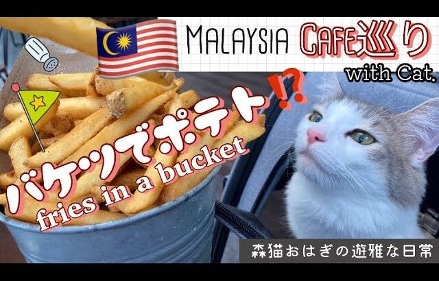 【MALAYSIA】Kingstreet Cafe in Kuala Lumpur バケツで山盛りポテト！〜森猫おはぎの遊雅な日常〜 #MalaysiaCafe #猫と海外移住 #ペット可カフェ