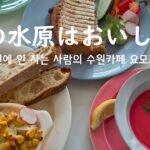 夏の水原は飽きない♪可愛くておいしい水原カフェ巡り💚(季節のランチやコーヒー、デザート) 가도가도 질리지 않는 수원의 맛있고 예쁜 카페들💛