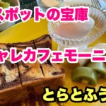 映えスポットの宝庫！オシャレカフェで食べるモーニング