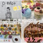 【vlog】福井で日帰りグルメ旅 | 手毬寿司 | ボルガライス | 映えランチ | カフェ