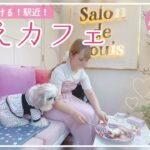 【ペット可カフェ】モコモコ犬と表参道でスイーツタイム♪インスタ映え間違いなしのオシャレカフェで『あること』に挑戦？【565日目】