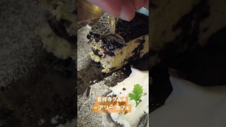 【吉祥寺グルメ】チーズケーキ　ALLEY CAFE#東京グルメ #東京カフェ