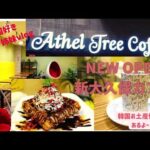 【新大久保カフェ】Athel Tree  coffee  ゆっくりできちゃう穴場カフェでいきなりスーツケース開けて韓国土産紹介はじめる妹　おすすめカフェ紹介