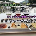 【足利】ぶどう畑を眺めながらワインのテイスティング&ランチ 「ココファーム&カフェ」と収穫祭ダイジェスト～Coco Farm & Winery, Ashikaga, Tochigi, JAPAN