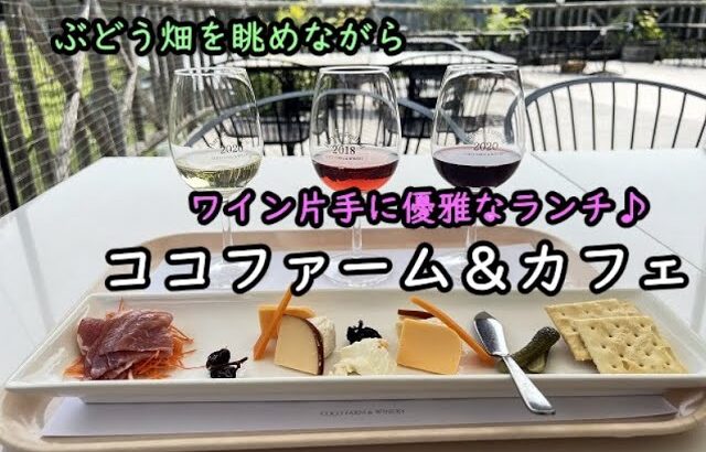 【足利】ぶどう畑を眺めながらワインのテイスティング&ランチ 「ココファーム&カフェ」と収穫祭ダイジェスト～Coco Farm & Winery, Ashikaga, Tochigi, JAPAN