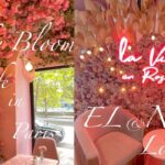 【カフェ巡り】パリのインスタ映えカフェ/ガーリーなピンクカフェ/Pinky Bloom/EL and N London/most instagrammable cafe in the world