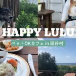 【愛犬Vlog】#ペットOKカフェin読谷村〜ランチに行ってきました♪