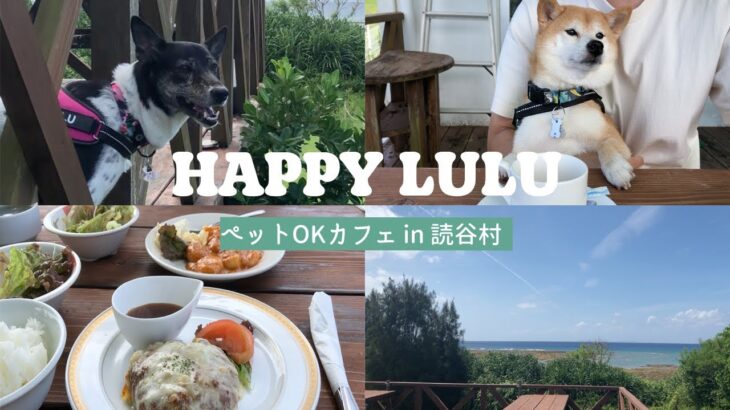 【愛犬Vlog】#ペットOKカフェin読谷村〜ランチに行ってきました♪