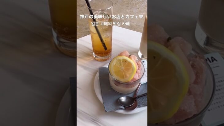 グルメとカフェ맛집 카페 소개🧡