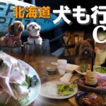 【３店舗】犬と入れるカフェご紹介します【北海道】