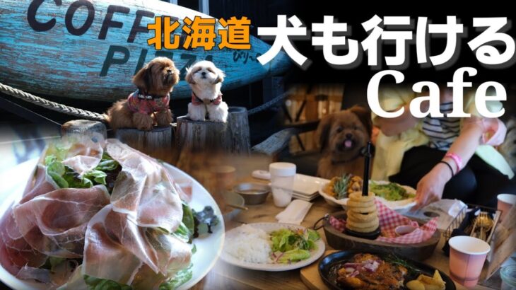 【３店舗】犬と入れるカフェご紹介します【北海道】