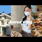 韓国留学生のvlog | カフェ巡り|語学堂の勉強| 韓国の映画館