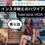 【沖縄vlog『第6話』】インスタ映えのハワイアンカフェ「hale’aina HOA（ハレアイナ・ホア）」。ガーリックシュリンプとアヒポキ丼