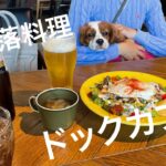 お洒落なドッグカフェでランチ#キャバリア #犬 とあるきなこの休日編