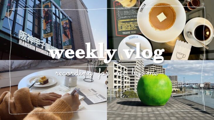 〔weekly vlog〕芋と栗と南瓜な日々🍁/あいみょんライブ/神戸カフェ巡り☕️